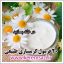 فرمول ساخت کرم های طبیعی